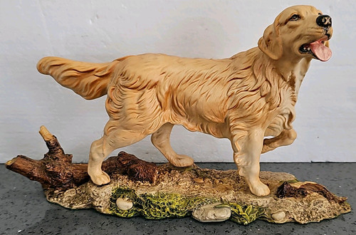 Beautiful golden retriever - beautiful,