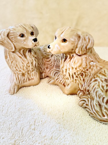 Vtg golden retrievers - vtg, dog