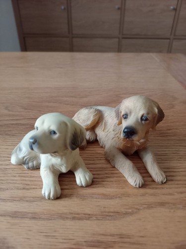 Pair sitting golden - of,