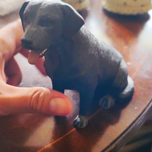 Labrador retriever dog - labrador,