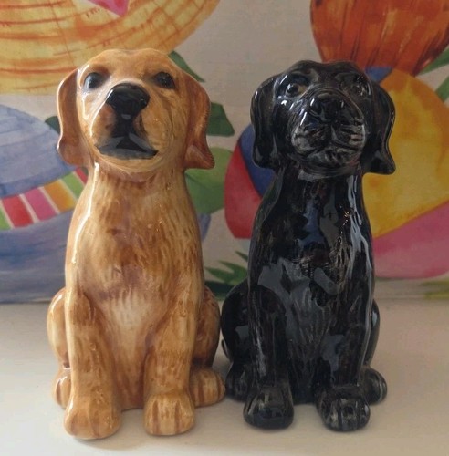 Black labrador and - labrador,