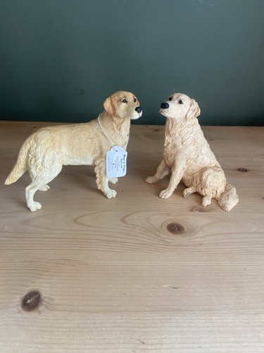 Dogs and pups galore pair - pups,