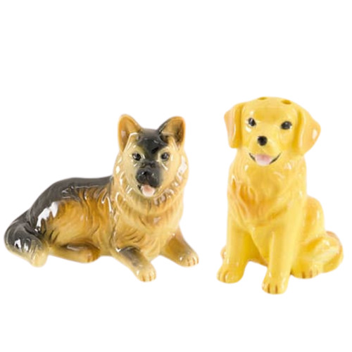 Mini golden retriever german - golden,