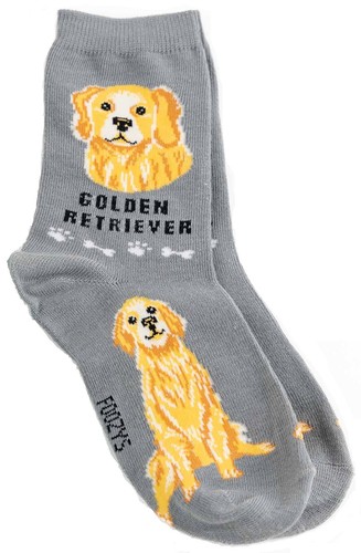 Golden retriever foozys fun - golden,