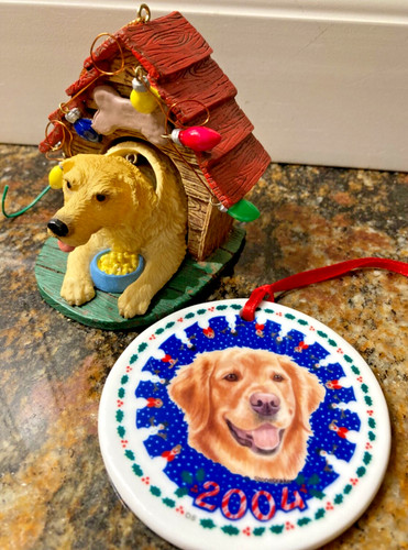 Pair yellow lab golden - 2,