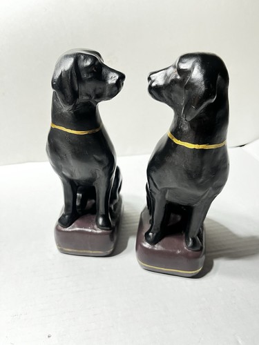 Black lab labrador retriever - black,