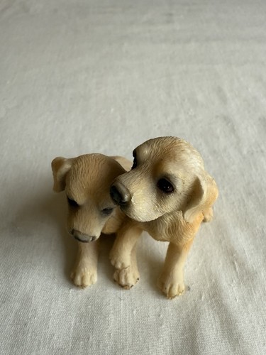 Golden retriever pair - retriever, of