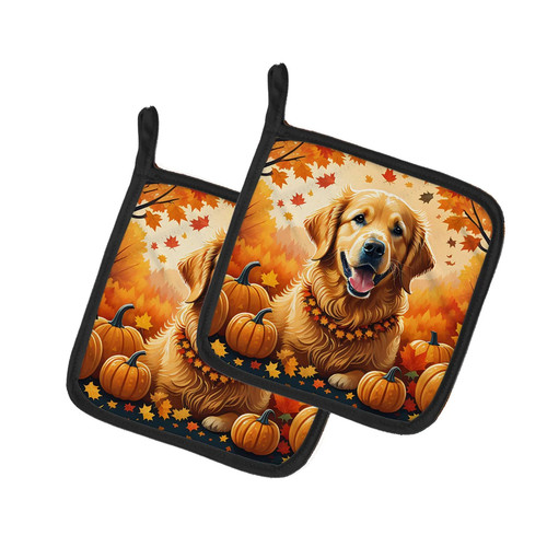 Golden retriever fall pair - golden, of