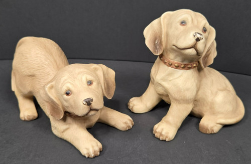 Vintage golden retriever - 2,