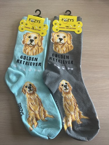 Golden retriever dog - retriever,