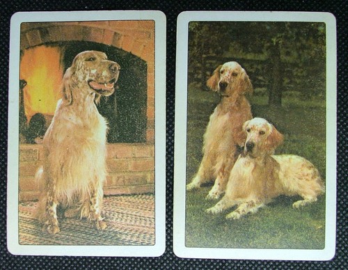Pair playing cards single - x,