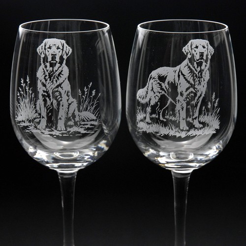 Golden retriever dog - golden,