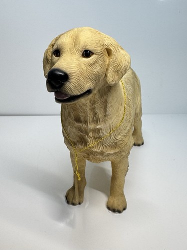 Golden retriever dog - ,