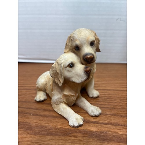 Golden retriever puppies - retriever,