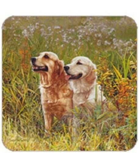 Cork back coaster dog - back, coaster-dog