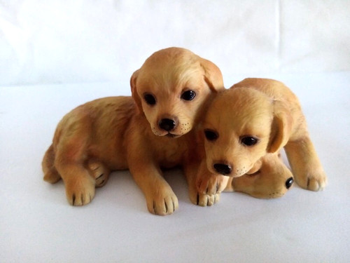 Dog puppy royal osborne - puppy,