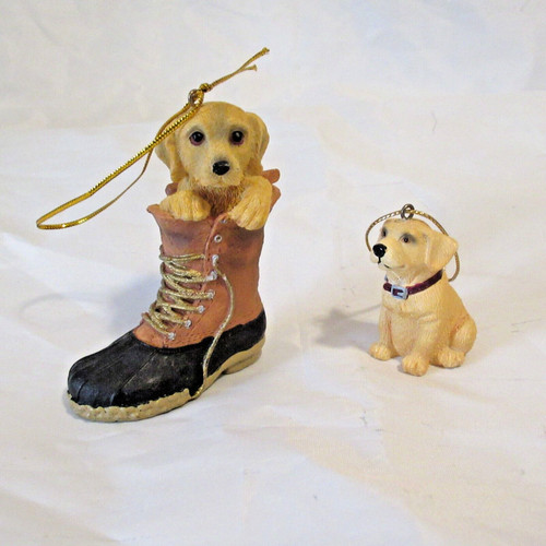 Laborador yellow with - laborador, boots