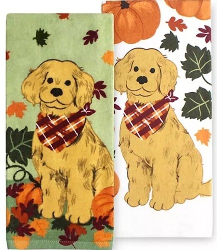 Golden retriever dog puppy - puppy, in