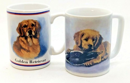 Golden retriever pair of - golden,