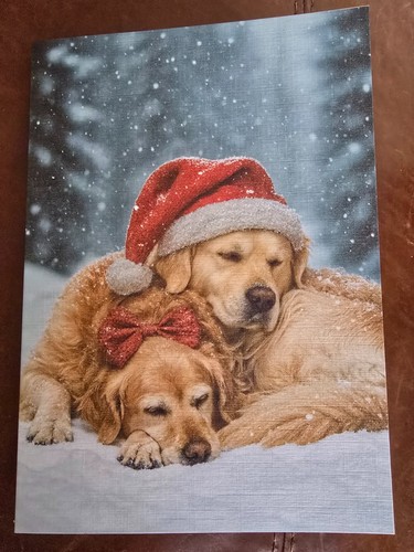 Pair gorgeous golden - pair,