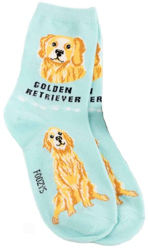 Golden retriever foozys fun - golden,