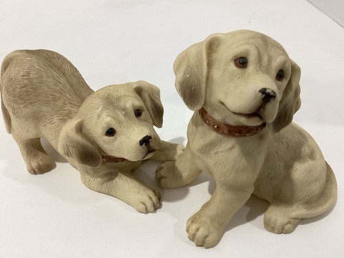 Homco golden retriever puppies - retriever,