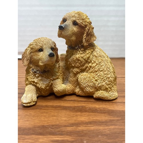 Golden retriever puppies - golden,