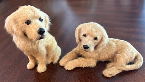 Rare find matching pair - rare,